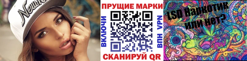 blacksprut ССЫЛКА  как найти   Чекалин  Марки N-bome 1500мкг 