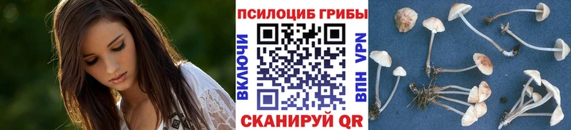 mega ССЫЛКА Чекалин Галлюциногенные грибы MAGIC MUSHROOMS